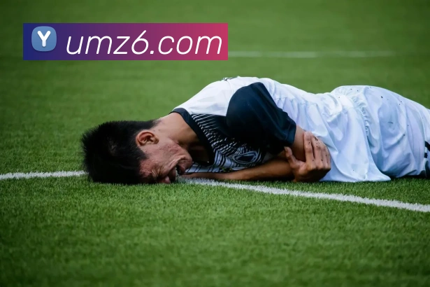尊龙z6品牌故事